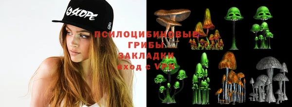 сатива Балабаново