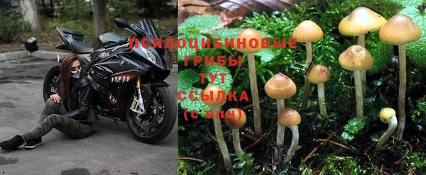бутират Баксан